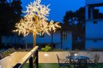 Clove Villa Kandy thumbnail photographs